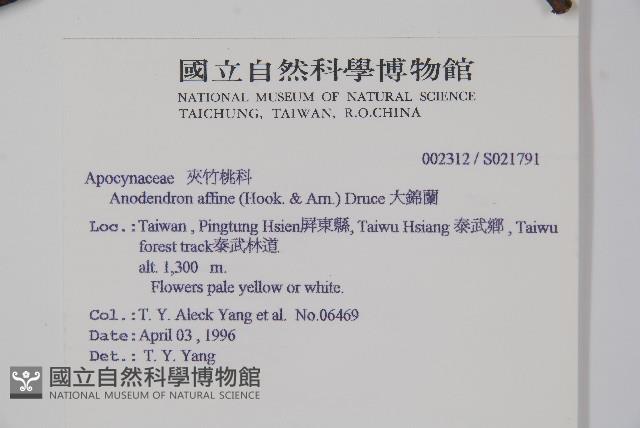 小錦蘭藏品圖，第2張