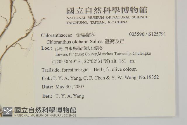 臺灣及己藏品圖，第2張