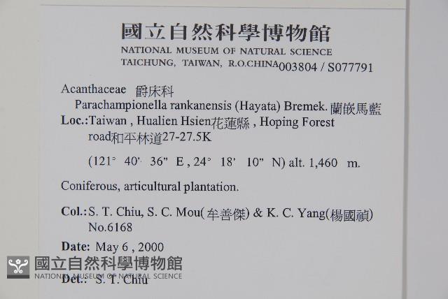 蘭嵌馬藍藏品圖，第2張