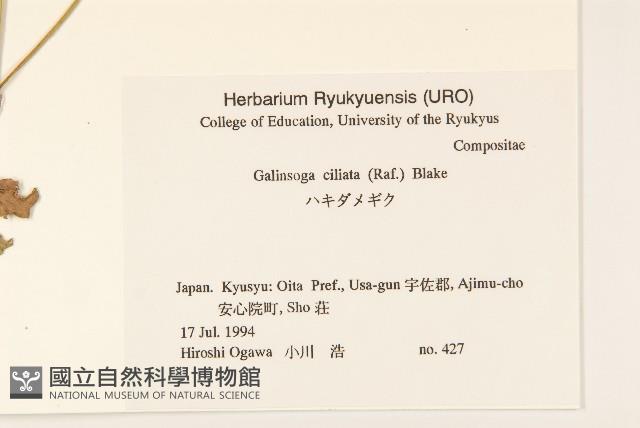 登錄號:S051291藏品圖，第2張