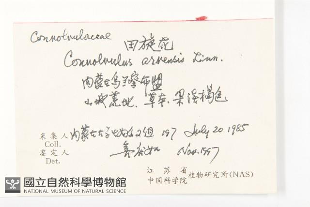 田旋花藏品圖，第2張