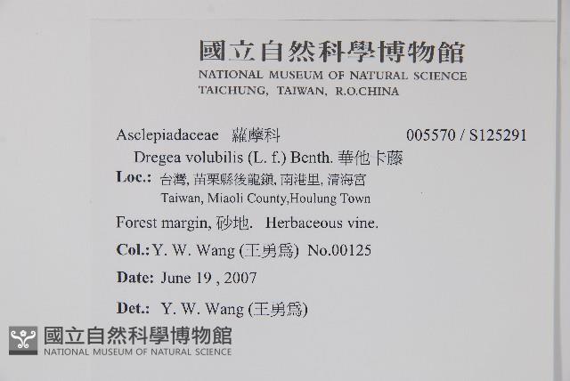 華他卡藤藏品圖，第2張