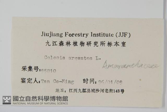 青葙藏品圖，第2張