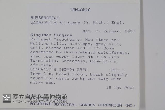 登錄號:S094291藏品圖，第2張