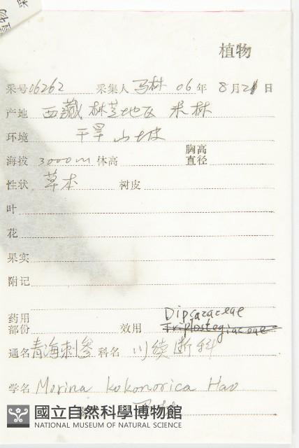 青海刺參藏品圖，第2張