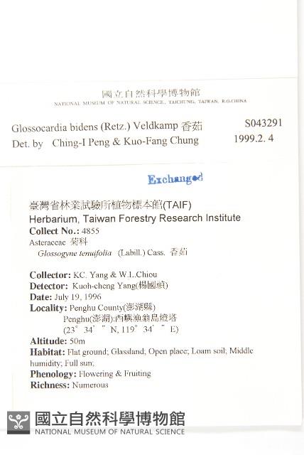 香茹藏品圖，第2張