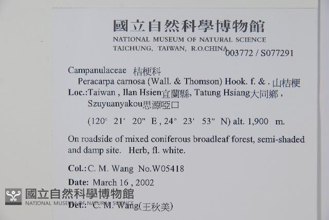 山桔梗藏品圖，第2張