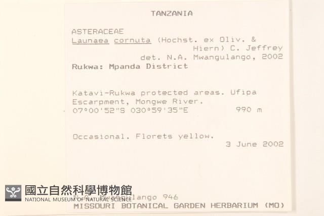 登錄號:S096491藏品圖，第2張