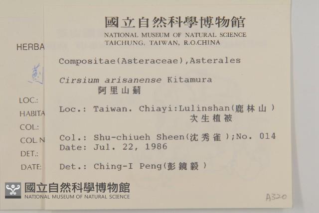 阿里山薊藏品圖，第2張