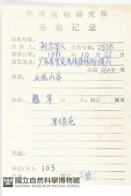 馬交兒藏品圖，第2張