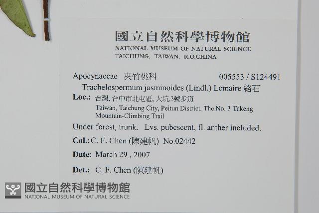 絡石藏品圖，第2張