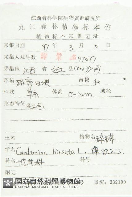 碎米薺藏品圖，第2張