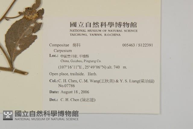 登錄號:S122391藏品圖，第2張