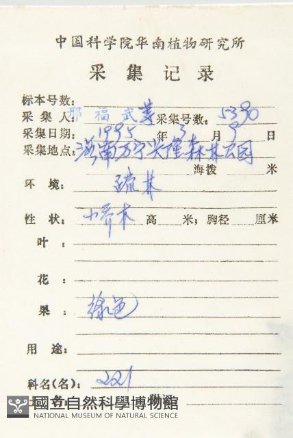 鏡面柿藏品圖，第2張