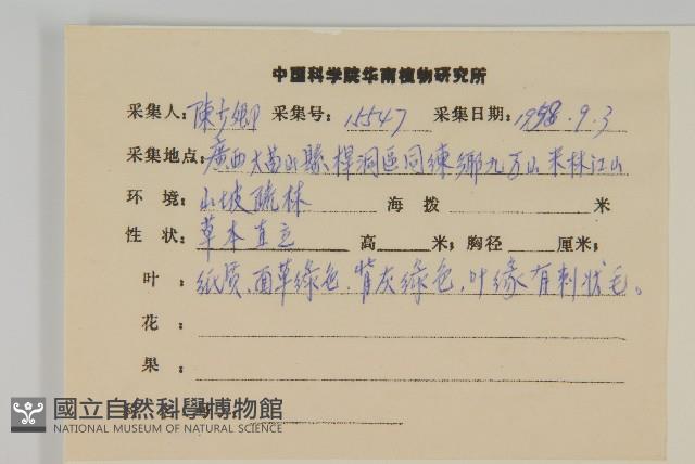 毛將軍藏品圖，第2張