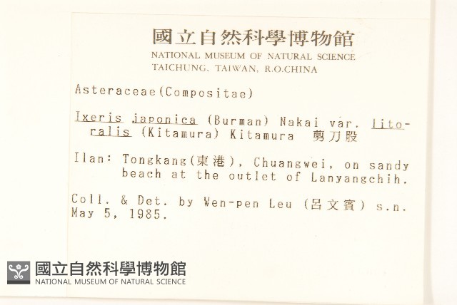 剪刀股藏品圖，第2張