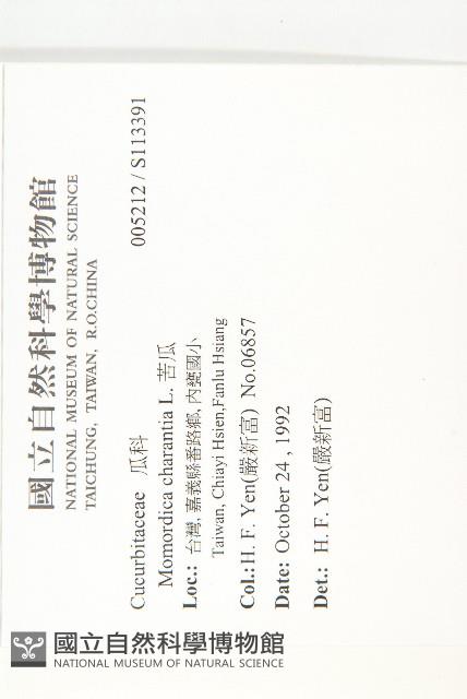 苦瓜藏品圖，第2張