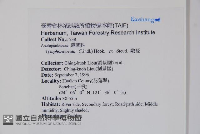 鷗蔓藏品圖，第2張