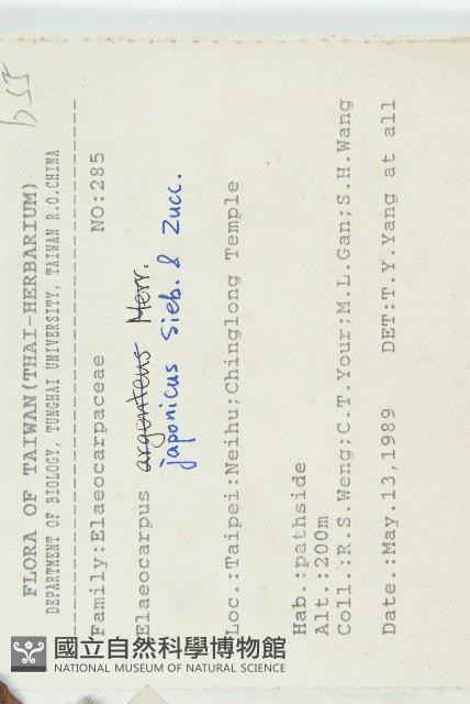 薯豆藏品圖，第2張