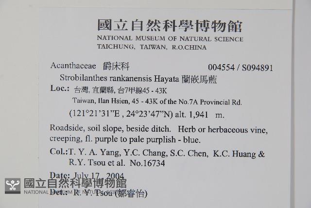 蘭嵌馬藍藏品圖，第2張