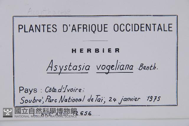 登錄號:S100991藏品圖，第2張