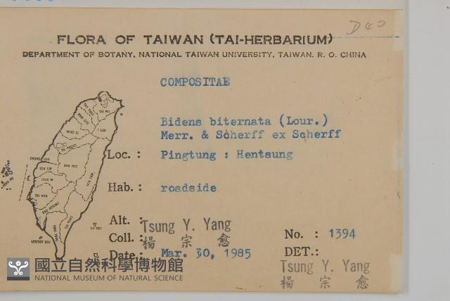 鬼針舅藏品圖，第2張