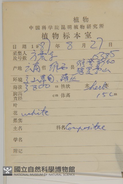 尼泊爾籟簫藏品圖，第2張