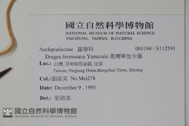 臺灣華他卡藤藏品圖，第2張