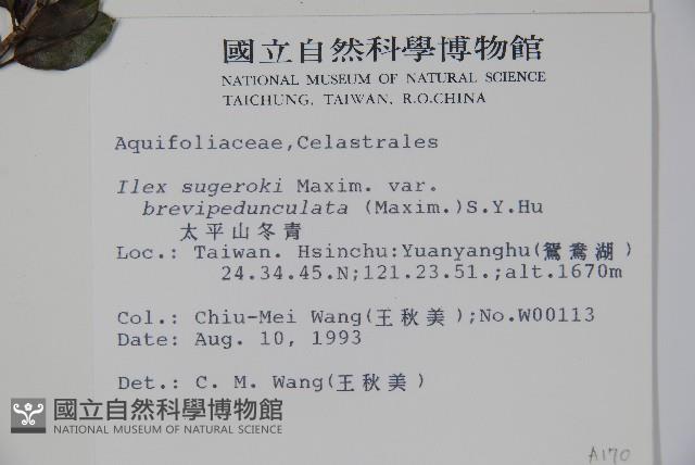 太平山冬青藏品圖，第2張