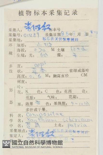 蒼耳藏品圖，第2張