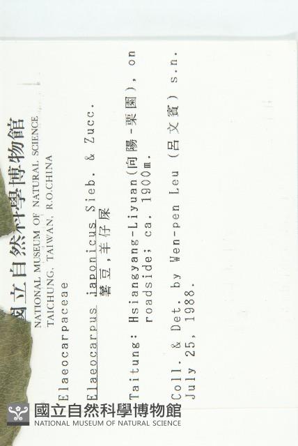 薯豆藏品圖，第2張