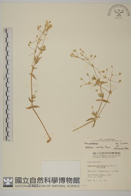 Accession Number:S000631 Collection Image, Figure 1, Total 2 Figures