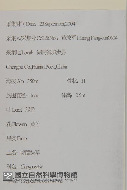 杓兒菜藏品圖，第2張