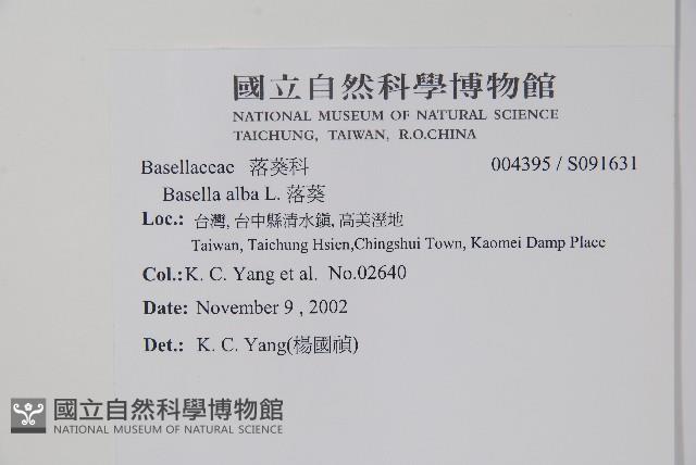 落葵藏品圖，第2張