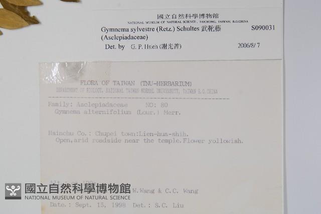 武靴藤藏品圖，第2張