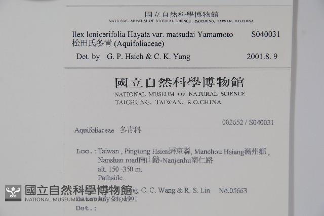 松田氏冬青藏品圖，第2張