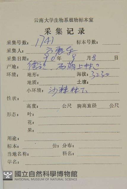 心葉兔兒風藏品圖，第2張