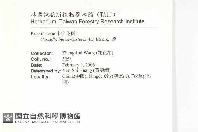 薺藏品圖，第2張