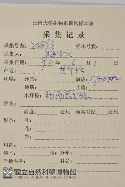 大丁黃藏品圖，第2張