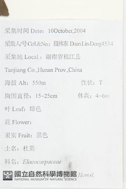 杜英藏品圖，第2張