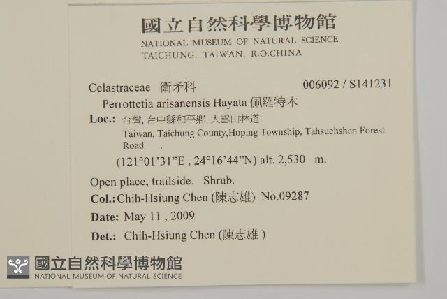 佩羅特木藏品圖，第2張