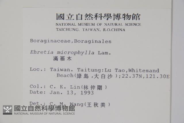 滿福木藏品圖，第2張