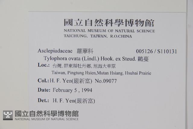 鷗蔓藏品圖，第2張