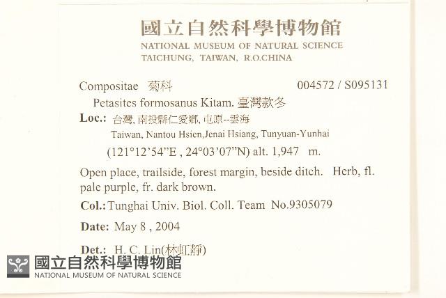 臺灣款冬藏品圖，第2張