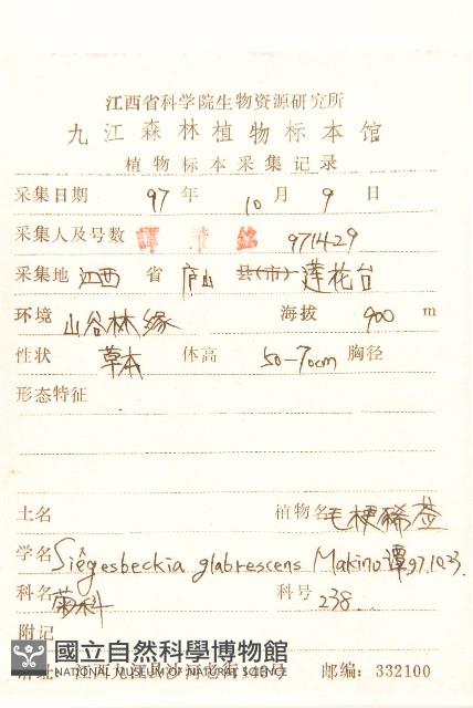 毛梗豨薟藏品圖，第2張