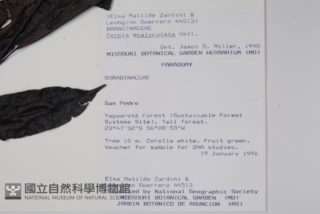 登錄號:S062331藏品圖，第2張