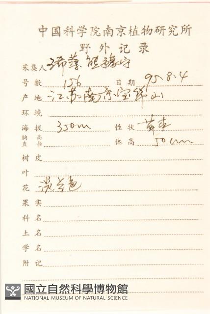 雞兒腸藏品圖，第2張