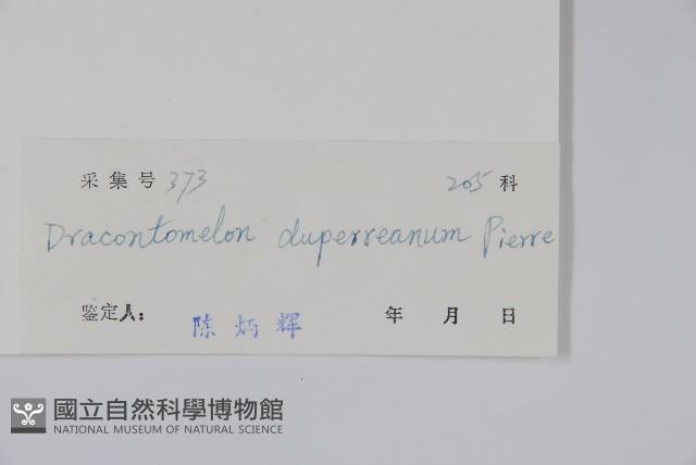 人面子藏品圖，第2張