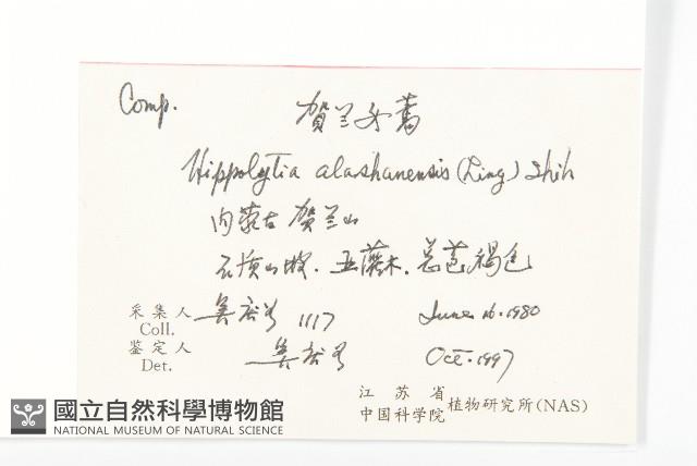 賀蘭女蒿藏品圖，第2張