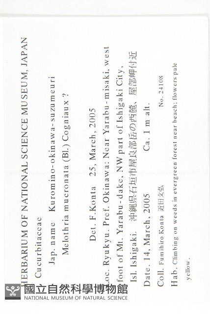 黑果馬交兒藏品圖，第2張